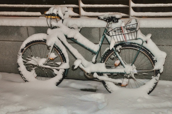 Winterimpressionen   005.jpg